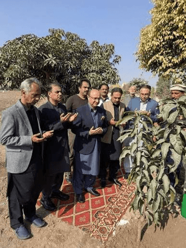 OGDC Launches Countrywide Tree Plantation Drive
